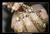 paulin8.jpg